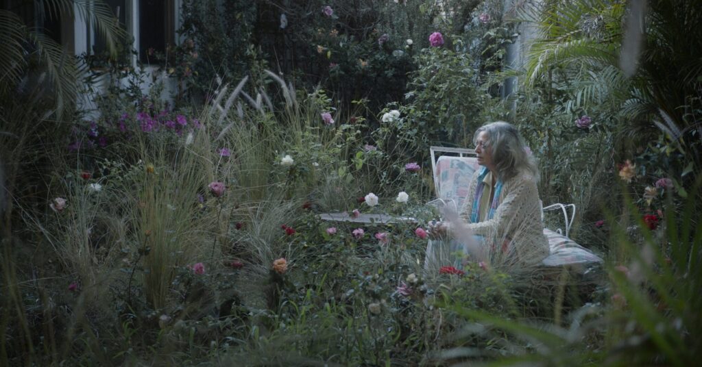 Luneta: Muestra representativa de cine mexicano contemporáneo