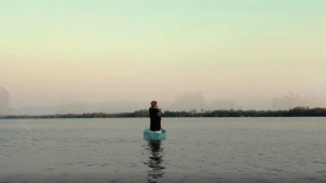 Zona de creación en busca del hábitat