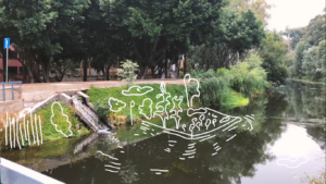 Mi parque, una historia larga contada en chiquito
